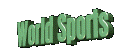 SportsAnim.gif (22058 bytes)